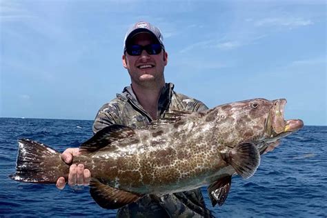 Grouper Fish: Habitat, Diet, Life Cycle, and Facts - FishOnTips