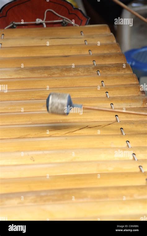 Ranat Ek (traditional Thai xylophone) performing Stock Photo - Alamy