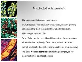 Mycobacterium tuberculosis(Microbiology) | PPT