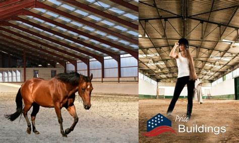 Arena Sizes for Horses: A Comprehensive Guide for Horse Owners