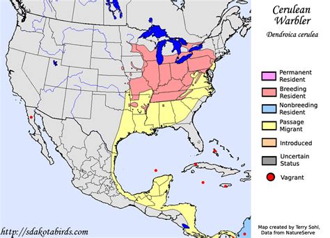 Cerulean Warbler - Species Range Map