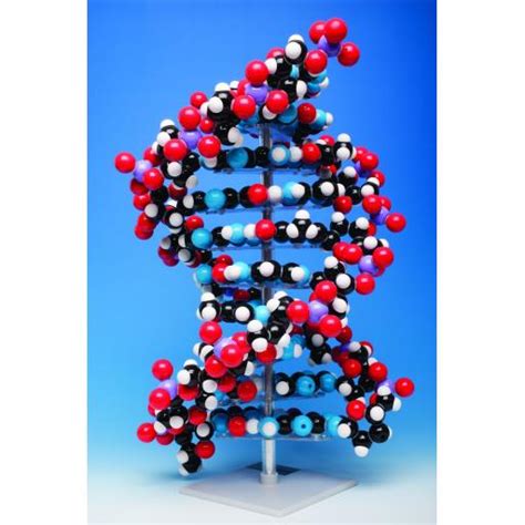 Molymod Molecular Models