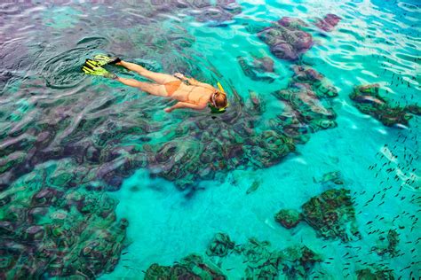 The 10 Best Snorkeling Spots In Nassau, The Bahamas | Sandals