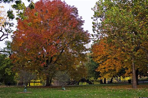 Best Places To See Fall Colors In Chicago: Where To Take In Vibrant ...