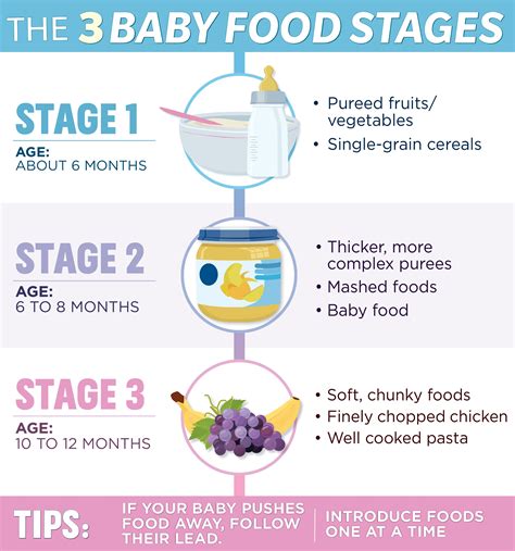 What Foods To Introduce To Baby At What Age - Baby Virals