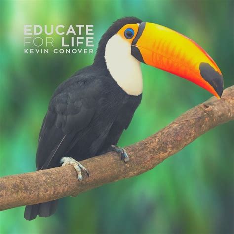 Toucan Beak | Life, Tropical heat, Natural selection