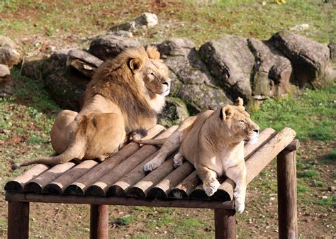 Gaziantep Zoo aiming to draw 5 million visitors