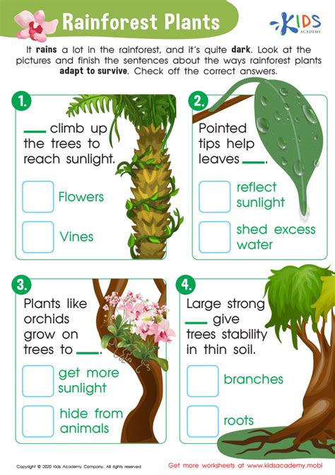 Free Rainforest Plants Worksheet worksheet for Kids