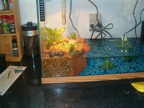 Turtle Tank Ideas and Set-Up | Turtle tank setup, Turtle terrarium ...