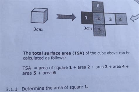 Solved: 3cm The total surface area (TSA) of the cube above can be ...