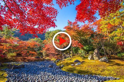 Experience the Autumn Leaves of Kyoto via Video – Explore Famous Spots ...