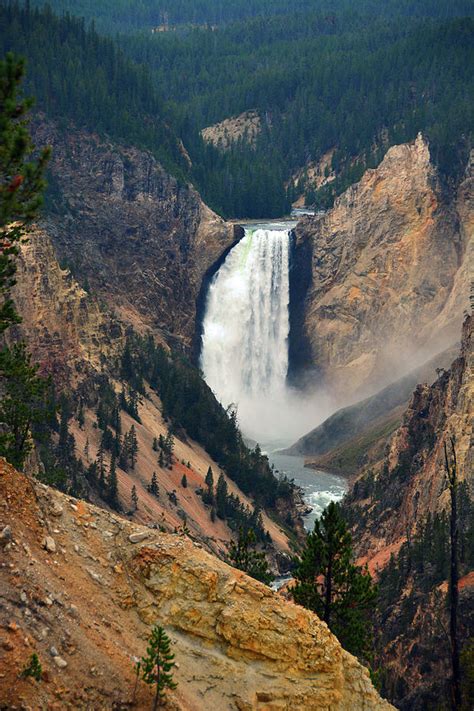 The Grand Canyon of Yellowstone Waterfall Photograph by Raymond Salani ...