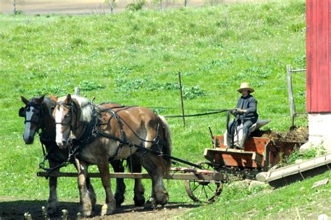 The Old White Farmhouse: Swartzentruber Amish