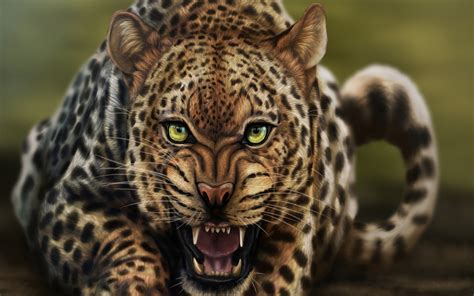 beauty, Cute, Amazing, Animal, Angry, Wild, Leopard, Animal Wallpapers ...