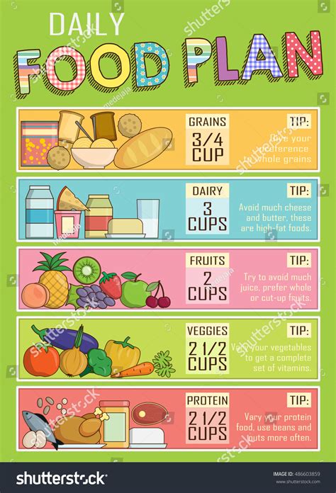 Infographic Chart Illustration Healthy Daily Nutrition Stock Vector ...