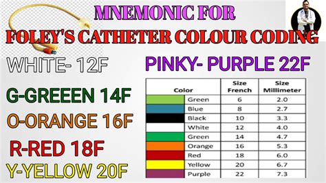 Iv Catheter Size Chart