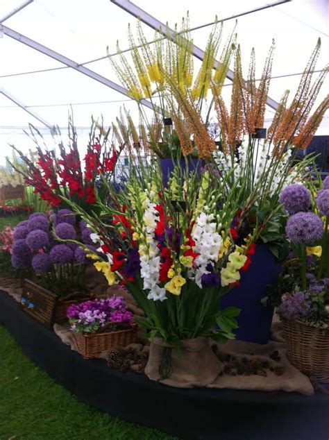 Southport Flower Show – Jacques Amand Intl