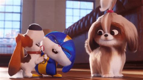 The Secret Life of Pets 2 Movie Review | Movie Reviews Simbasible