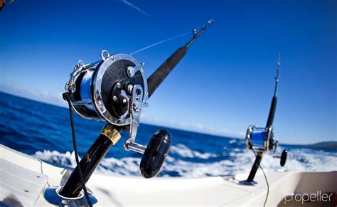 BIG GAME FISHING - Boat charter, Yacht charter service in Croatia ...