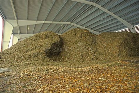 Storage of Wooden Fuel Biomass Stock Photo - Image of fuel, facility ...