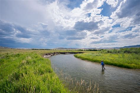 Ruby River Fly Fishing Guide & Trips