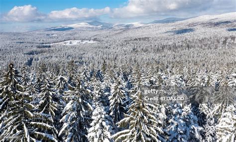 National Park Bavarian Forest in the deep of winter. View towards ...