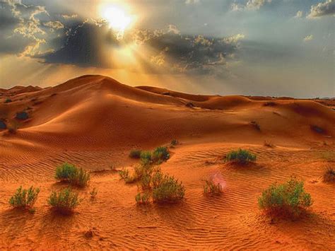 🔥 [90+] Desert Desktop Wallpapers | WallpaperSafari