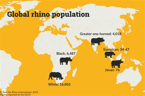 Javan Rhinoceros Population Graph