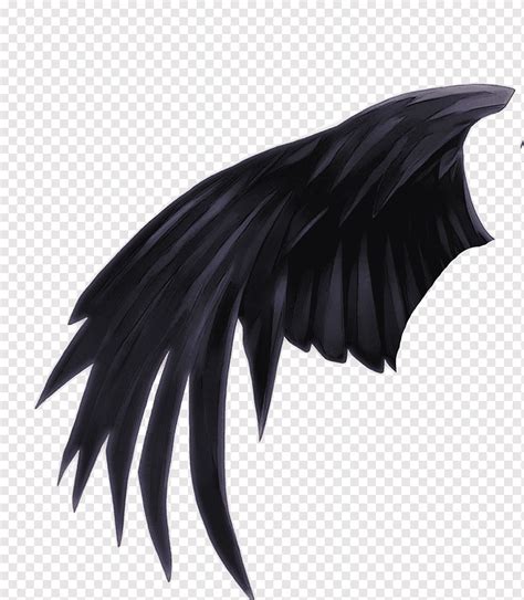 Anime Angel With Black Wings