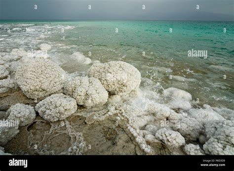 Dead sea Salt formations, Israel Stock Photo - Alamy