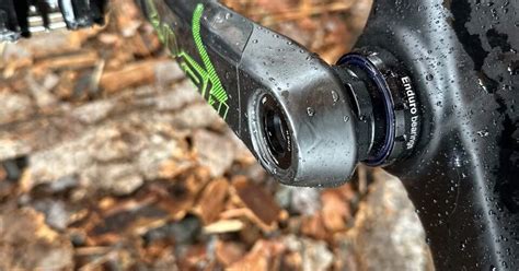 Enduro Bearings Fat Bike - Bike Hugger