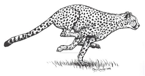 Inktober Day 1 Cheetah Running by silvercrossfox on DeviantArt