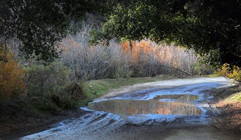 Rain Puddle In The Road Free Stock Photo - Public Domain Pictures