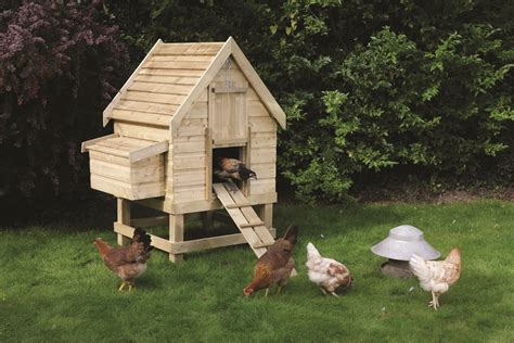 How To Build A Chicken Coop: Chicken Coops Designs - Top Tips To ...