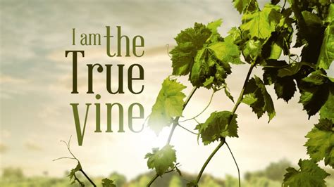 I AM The Vine | Neighborhood Bible Church