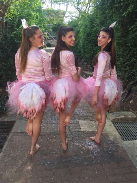 Pink flamingo costume homemade diy | Flamingo costume, Flamingo ...