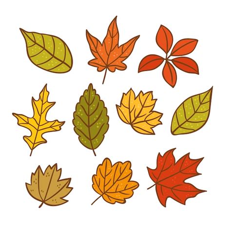 Fall Leaves Drawings