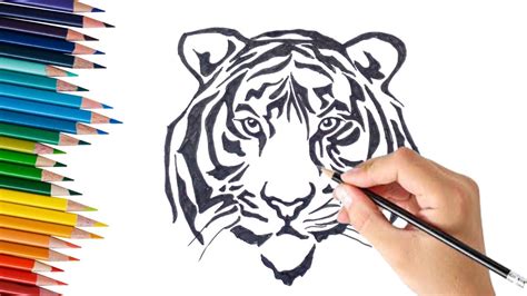 Easy Tiger Face Drawing