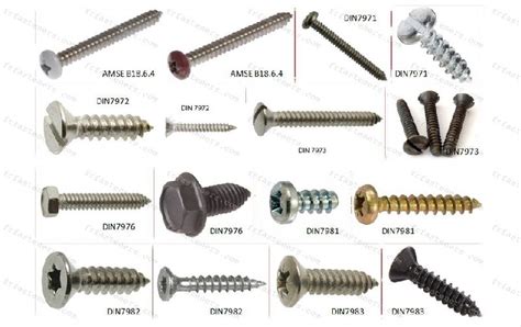 Tapping Screws by F R Fasteners, Tapping Screws from Jamnagar Gujarat ...