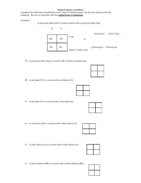 Punnett Squares Practice Worksheet