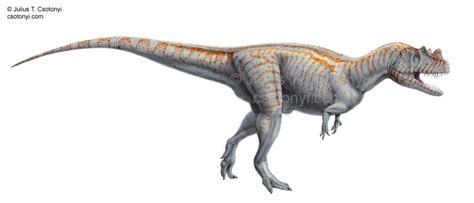 Ceratosaurus | Paleopedia Wiki | FANDOM powered by Wikia