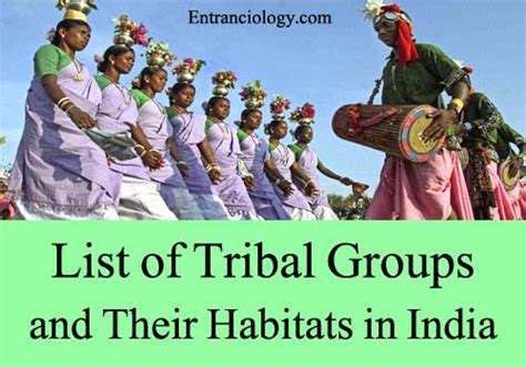 List of Tribal Groups and Their Habitats in India | GK, Current Affairs ...