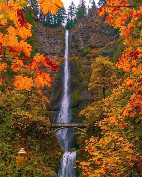 Multnomah Falls - photo by @n1ck_on | Multnomah falls oregon, Autumn ...