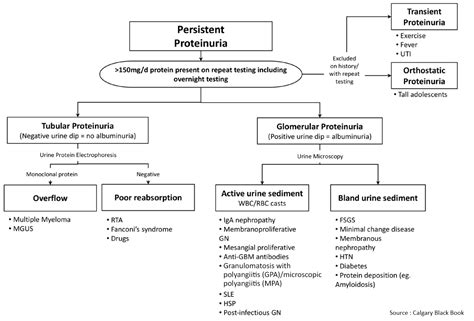 Proteinuria - Causes - Manual of Medicine