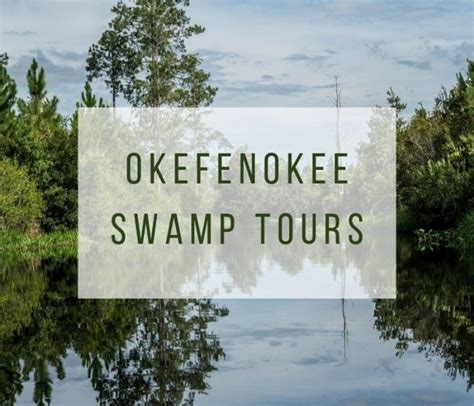 Okefenokee Swamp Tours: Which One to Pick? | Our Traveling Zoo