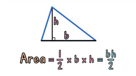 Area of a Triangle (Base and Height) - YouTube