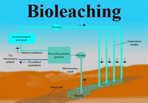 Booming Growth in Bioleaching Market Analysis 2019 and Forecast