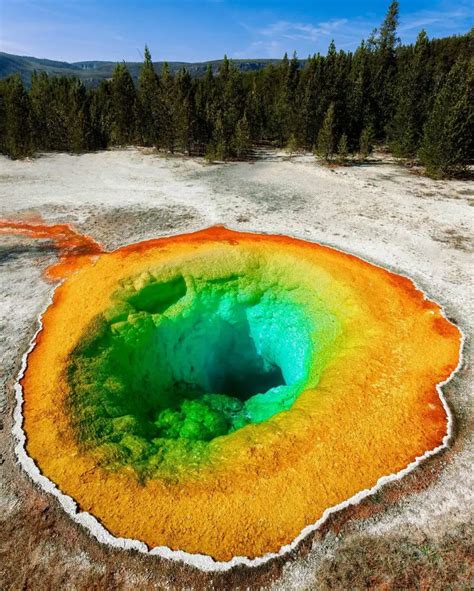 Yellowstone National Park - 5 Best Things To Do