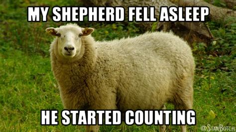 23 Funny Sheep Memes, Botch