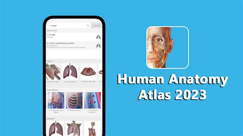 Human Anatomy Atlas 2023 MOD APK v2024.00.005 (Unlocked) for Android